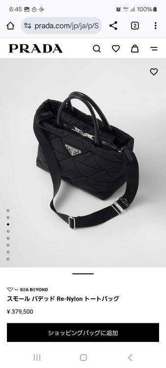 プラダ  （ブランドバッグ）の商品画像 - 査定依頼日：2025年3月28日 - 最高査定価格：150,000円