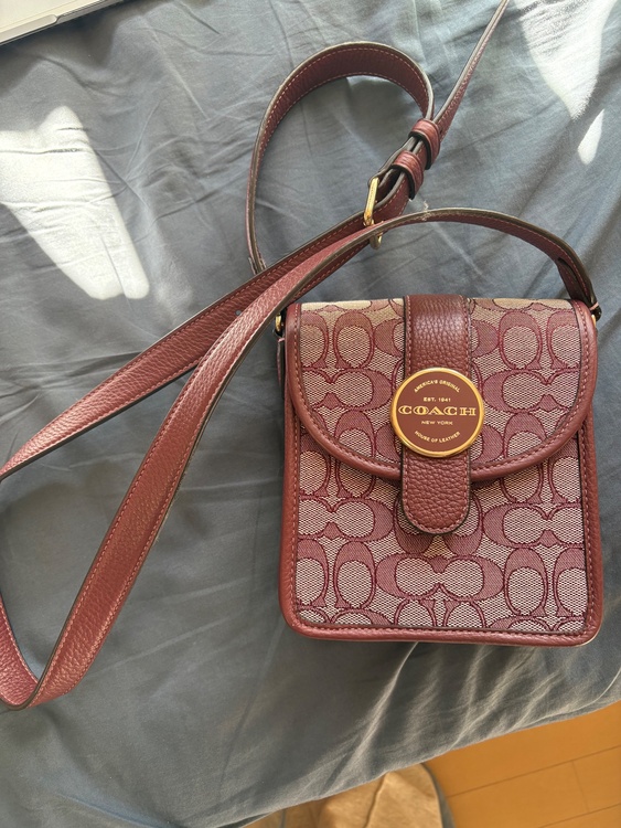 その他 コーチ （ブランドバッグ）の商品画像 - 査定依頼日：2026年1月19日 - 最高査定価格：4,000円