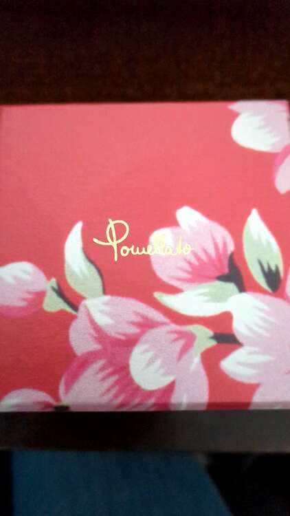 ポメラート　ピアス（金・貴金属）の商品画像 - 査定依頼日：2023年11月16日 - 最高査定価格：200,000円