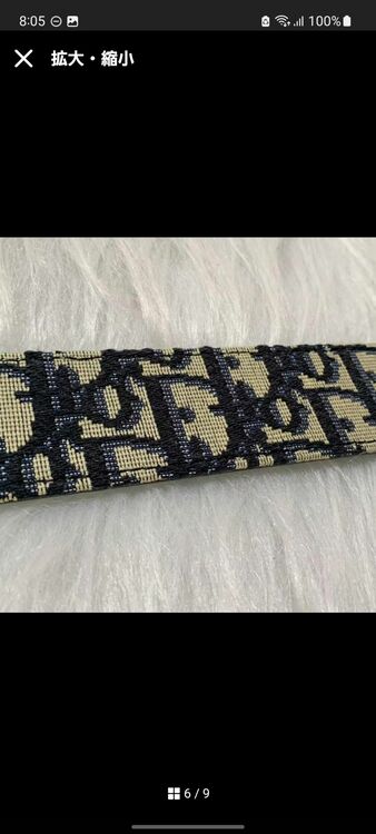 ディオール  （ブランドバッグ）の商品画像 - 査定依頼日：2025年9月18日 - 最高査定価格：45,000円