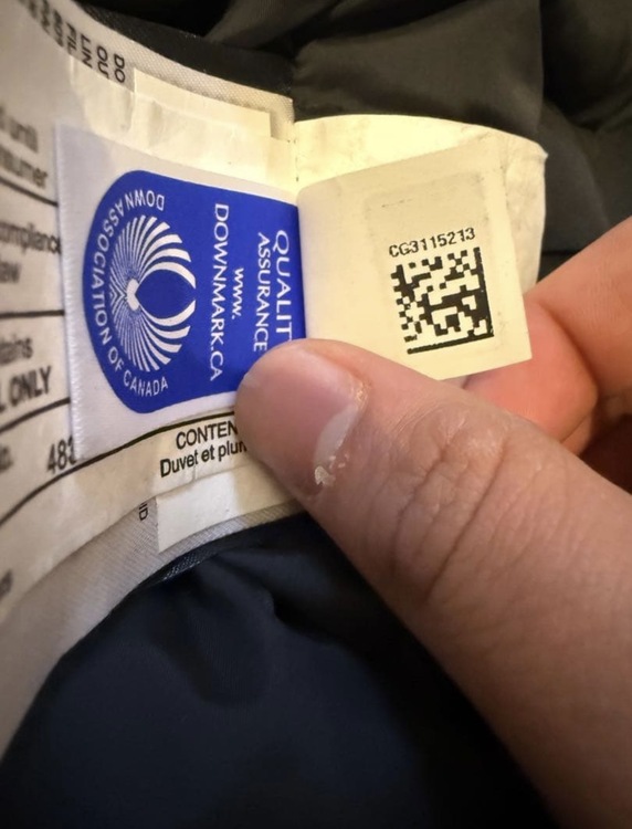 カナダグース シャトーパーカ（古着・ファッション）の商品画像 - 査定依頼日：2026年2月25日 - 最高査定価格：100,000円