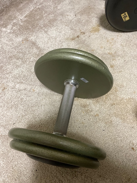 ivankoSDPセットダンベルペイント40ポンドペア（その他のスポーツ用品）の商品画像 - 査定依頼日：2025年12月8日 - 最高査定価格：1,000円