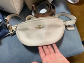 その他 コーチ （ブランドバッグ）の商品画像 - 査定依頼日：2026年4月23日 - 最高査定価格：100,000円