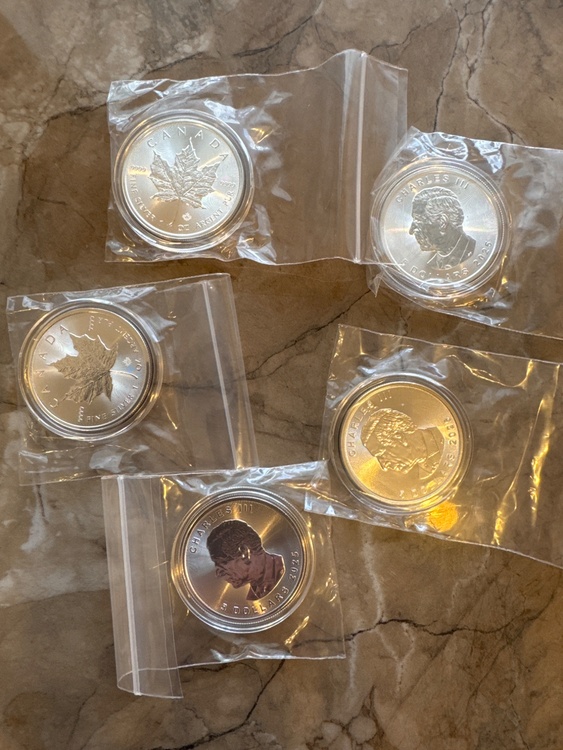 カナダメイプル銀貨1オンス（金・貴金属）の商品画像 - 査定依頼日：2025年12月6日 - 最高査定価格：43,000円