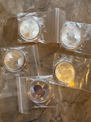 カナダメイプル銀貨1オンス（金・貴金属）の商品画像 - 査定依頼日：2025年12月6日 - 最高査定価格：43,000円