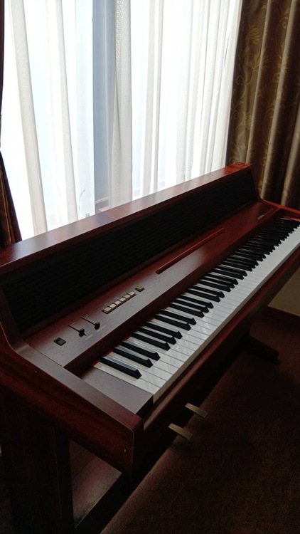 PT200（ピアノ・楽器・PA機材）の商品画像 - 査定依頼日：2026年2月19日 - 最高査定価格：10,000円