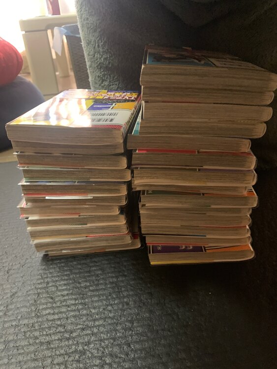 僕のヒーローアカデミア 1巻〜25巻（古本）の商品画像 - 査定依頼日：2025年2月23日 - 最高査定価格：1,000円