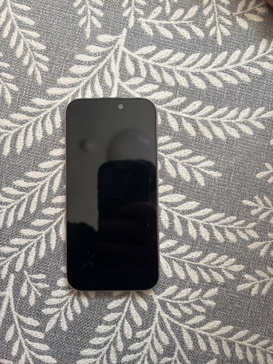 iPhone 15 Pro 256GB SIMフリー（スマホ）の商品画像 - 査定依頼日：2026年4月12日 - 最高査定価格：81,000円