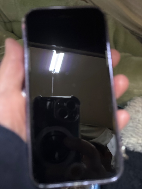 iPhone SE (第 3 世代) 128GB SIMフリー（スマホ）の商品画像 - 査定依頼日：2026年3月27日 - 最高査定価格：20,000円