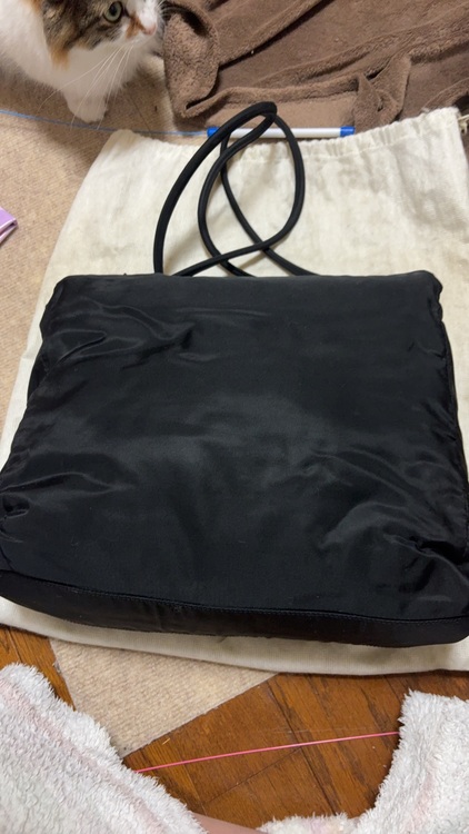 プラダ  （ブランドバッグ）の商品画像 - 査定依頼日：2025年11月14日 - 最高査定価格：25,000円