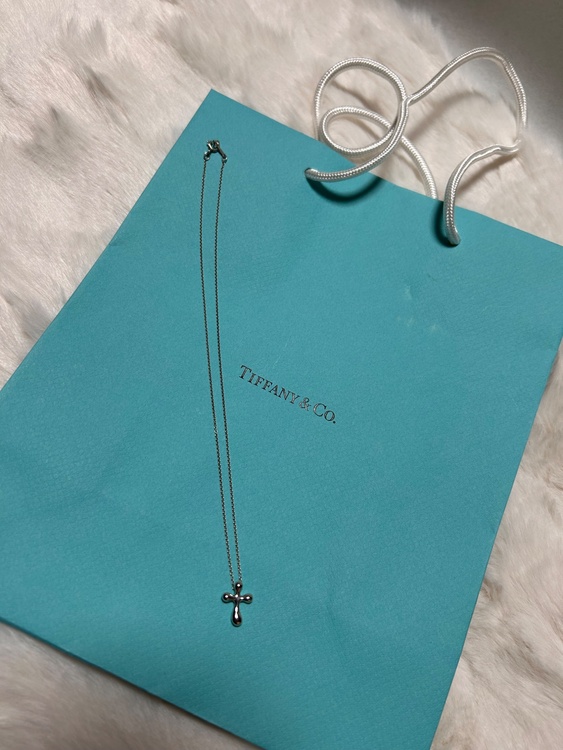 ティファニーネックレス（金・貴金属）の商品画像 - 査定依頼日：2026年3月18日 - 最高査定価格：10,000円