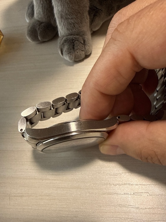 オメガ シーマスター アクアテラス（高級時計）の商品画像 - 査定依頼日：2026年2月26日 - 最高査定価格：230,000円