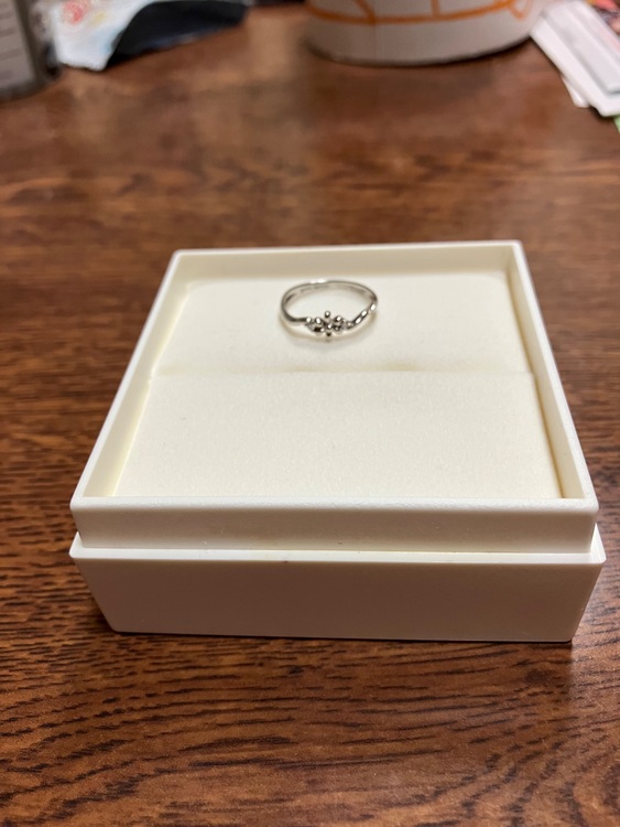 山本寛斎 指輪（金・貴金属）の商品画像 - 査定依頼日：2025年11月25日 - 最高査定価格：30,000円