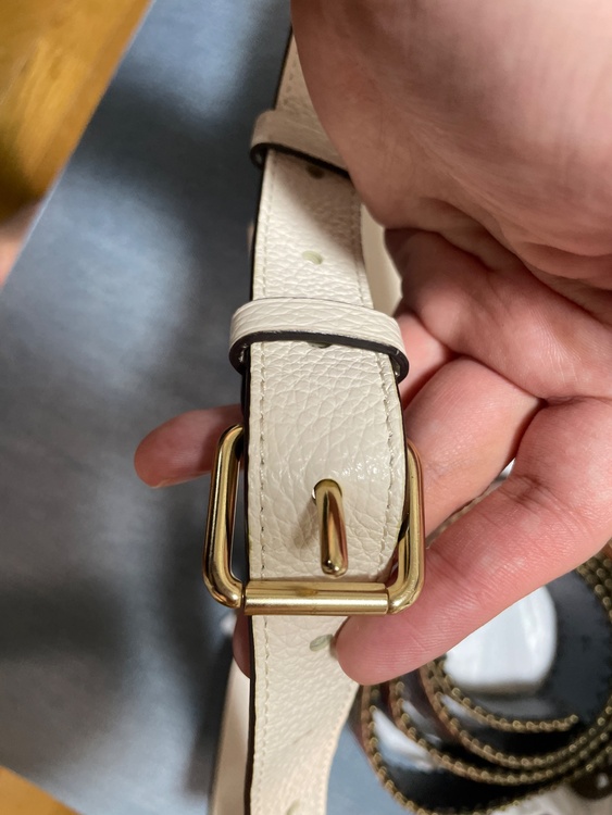 その他 コーチ （ブランドバッグ）の商品画像 - 査定依頼日：2026年4月23日 - 最高査定価格：100,000円