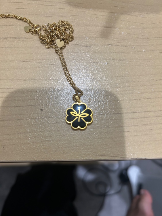 ネックレス（金・貴金属）の商品画像 - 査定依頼日：2025年8月8日 - 最高査定価格：100円