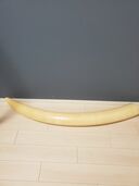 アフリカ象　一本象牙（美術品・骨董品）の商品画像 - 査定依頼日：2025年12月4日 - 最高査定価格：50,000円