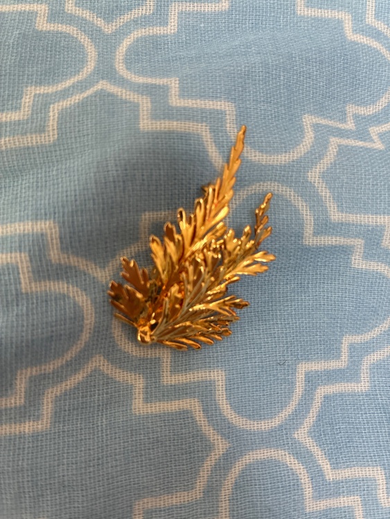 ブローチ兼ペンダントトップ（金・貴金属）の商品画像 - 査定依頼日：2026年3月18日 - 最高査定価格：250,000円