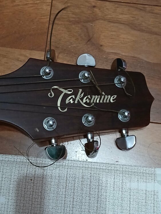 タカミネＴＳＡ５００（ピアノ・楽器・PA機材）の商品画像 - 査定依頼日：2026年8月25日 - 最高査定価格：7,000円