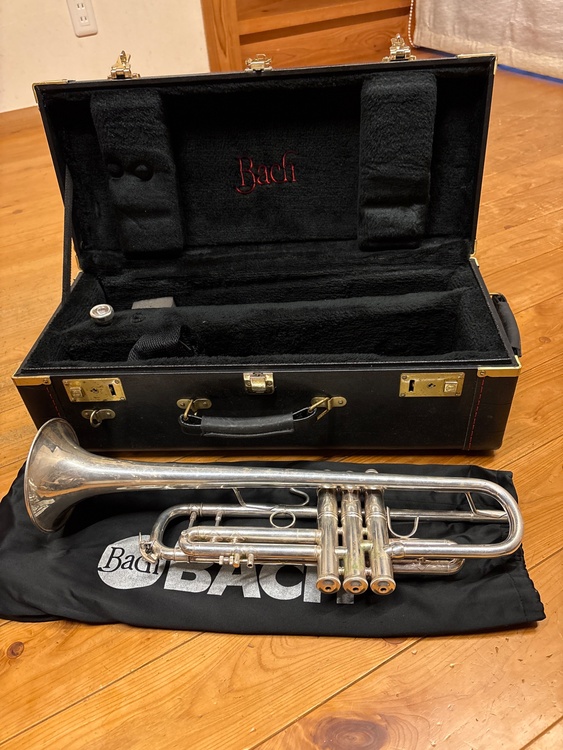 180ML37SP（ピアノ・楽器・PA機材）の商品画像 - 査定依頼日：2026年4月6日 - 最高査定価格：130,000円