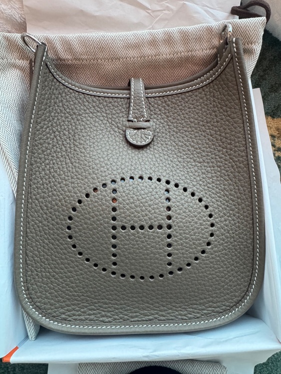 ミニエブリン tpm（ブランドバッグ）の商品画像 - 査定依頼日：2025年7月15日 - 最高査定価格：370,000円