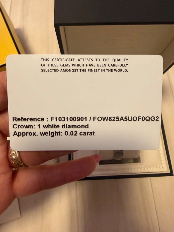 FENDI Forever Fendi（高級時計）の商品画像 - 査定依頼日：2026年10月5日 - 最高査定価格：100,000円