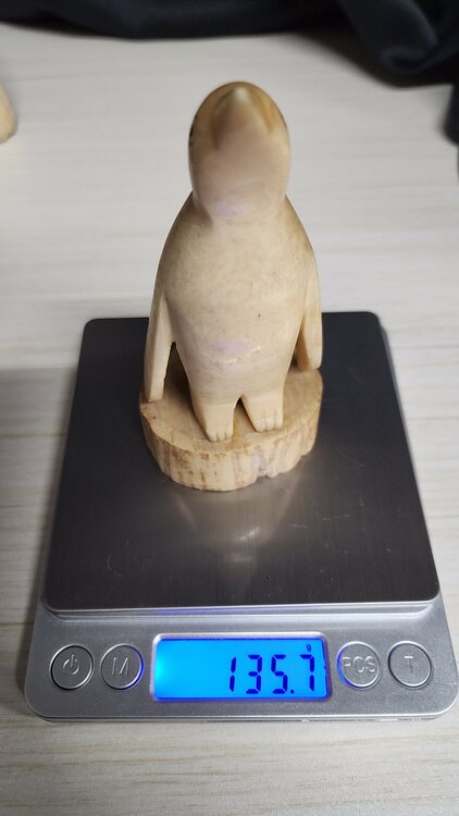 マッコウクジラ　牙（美術品・骨董品）の商品画像 - 査定依頼日：2025年12月22日 - 最高査定価格：20,000円