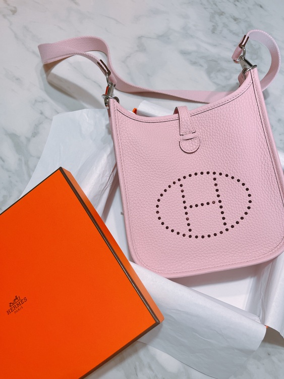 エヴリンTPM（ブランドバッグ）の商品画像 - 査定依頼日：2025年7月19日 - 最高査定価格：380,000円