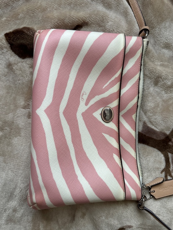 その他 コーチ （ブランドバッグ）の商品画像 - 査定依頼日：2026年4月11日 - 最高査定価格：1,500円