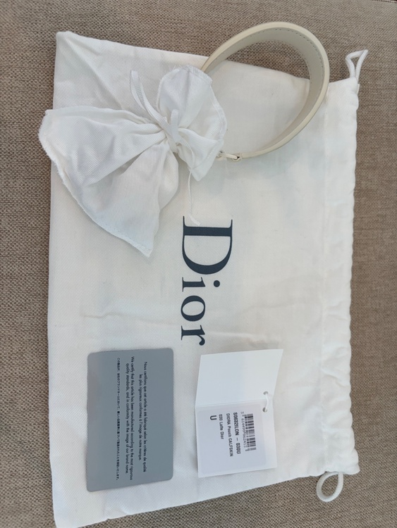 dior diora pouch（ブランドバッグ）の商品画像 - 査定依頼日：2026年9月25日 - 最高査定価格：40,000円