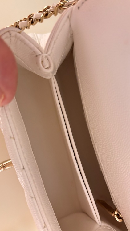 AS2215（ブランドバッグ）の商品画像 - 査定依頼日：2025年11月17日 - 最高査定価格：520,000円