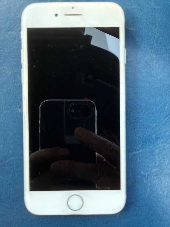 iPhone SE (第 2 世代) 64GB Softbank（スマホ）の商品画像 - 査定依頼日：2026年3月23日 - 最高査定価格：10,000円