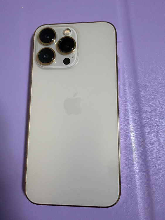iPhone iPhone 13 Pro 256GB SIMフリー（スマホ）の商品画像 - 査定依頼日：2026年9月14日 - 最高査定価格：48,500円