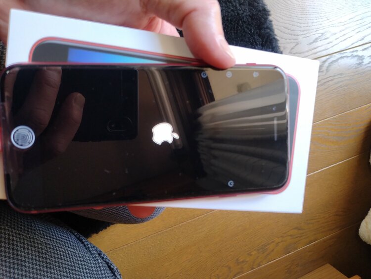 iPhone SE (第 3 世代) 64GB Softbank（スマホ）の商品画像 - 査定依頼日：2026年4月8日 - 最高査定価格：20,000円