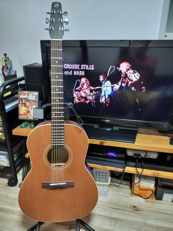 seagull s6＋folk（ピアノ・楽器・PA機材）の商品画像 - 査定依頼日：2026年7月13日 - 最高査定価格：12,000円
