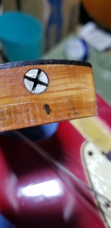 フェンダームスタング1964年（ピアノ・楽器・PA機材）の商品画像 - 査定依頼日：2026年4月4日 - 最高査定価格：320,000円