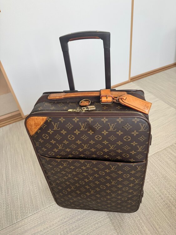 ペガス（ブランドバッグ）の商品画像 - 査定依頼日：2025年5月30日 - 最高査定価格：80,000円