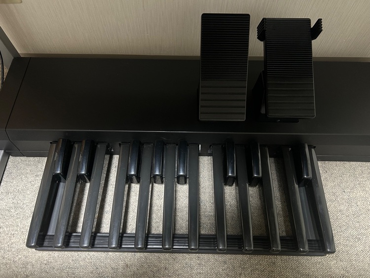 ELS-02C（ピアノ・楽器・PA機材）の商品画像 - 査定依頼日：2025年11月12日 - 最高査定価格：130,000円