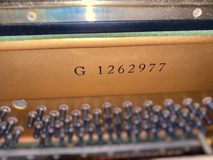 U3 G 1262977（ピアノ・楽器・PA機材）の商品画像 - 査定依頼日：2025年11月13日 - 最高査定価格：10,000円