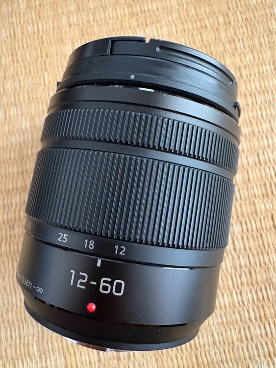 LUMIXG100（カメラ）の商品画像 - 査定依頼日：2026年6月22日 - 最高査定価格：60,100円