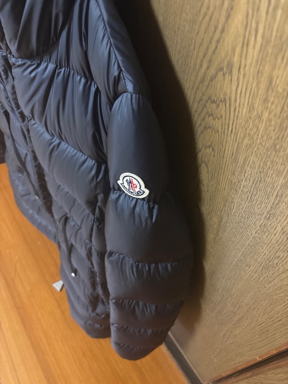 ダウン（古着・ファッション）の商品画像 - 査定依頼日：2025年11月25日 - 最高査定価格：100,000円
