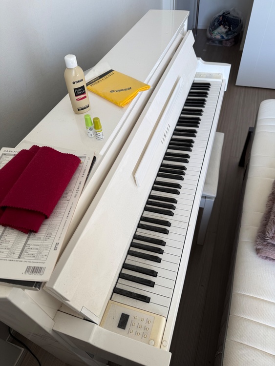 Yamaha NU1PBW（2016年）（ピアノ・楽器・PA機材）の商品画像 - 査定依頼日：2026年4月18日 - 最高査定価格：10,000円