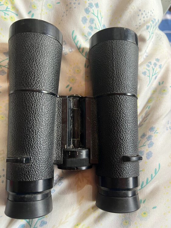 Dialut 双眼鏡（カメラ）の商品画像 - 査定依頼日：2025年5月26日 - 最高査定価格：13,000円