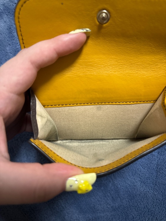 その他 クロエ （ブランドバッグ）の商品画像 - 査定依頼日：2025年6月15日 - 最高査定価格：15,000円