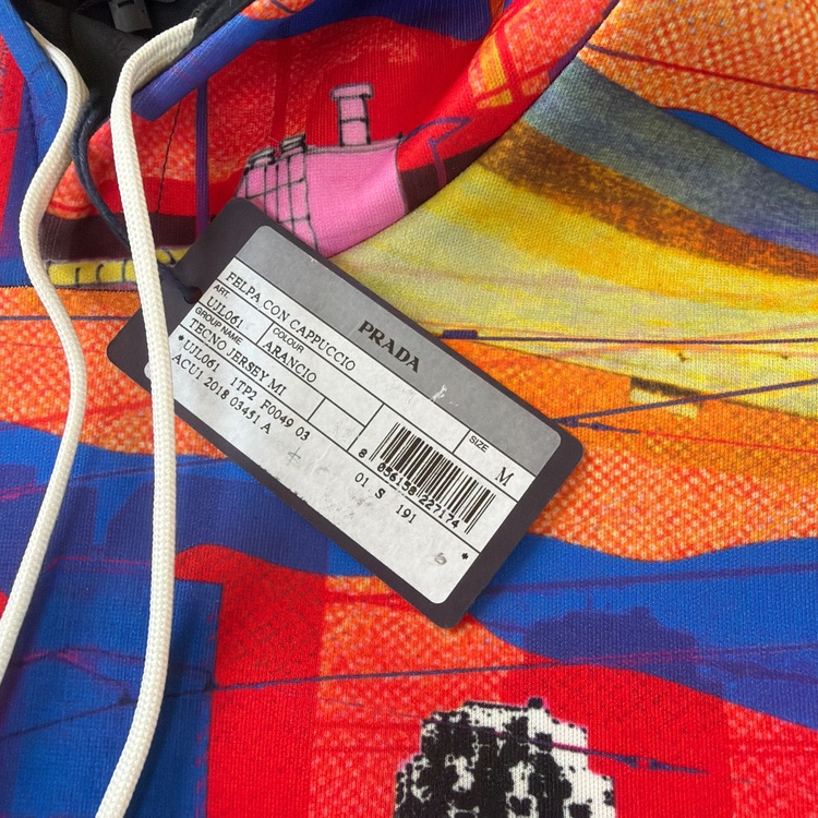 Prada SS19 psychedelic hoodie（古着・ファッション）の商品画像 - 査定依頼日：2026年6月14日 - 最高査定価格：100,000円