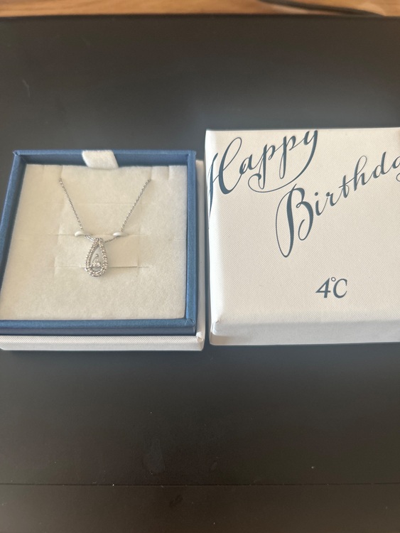 4℃プラチナネックレス（金・貴金属）の商品画像 - 査定依頼日：2025年9月30日 - 最高査定価格：50,000円