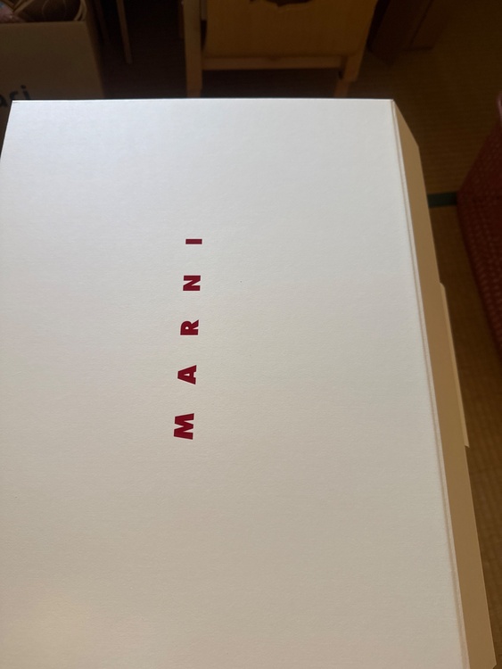 MARNI /Trunkaroo ソフトスモールトートバッグ /SBMP0272U0P803300N99（ブランドバッグ）の商品画像 - 査定依頼日：2026年7月9日 - 最高査定価格：4,000円