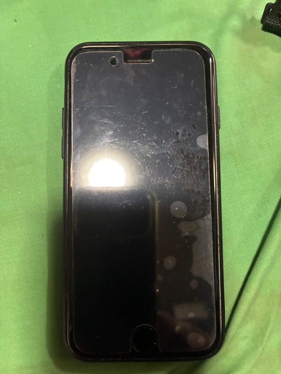 iPhoneSE2B64W（スマホ）の商品画像 - 査定依頼日：2026年9月26日 - 最高査定価格：11,000円