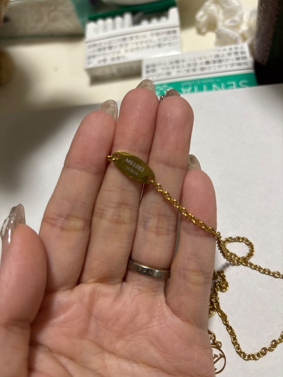 ルイヴィトンネックレス（金・貴金属）の商品画像 - 査定依頼日：2026年3月20日 - 最高査定価格：30,000円