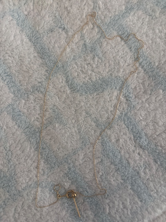 ネックレス（金・貴金属）の商品画像 - 査定依頼日：2026年2月20日 - 最高査定価格：100,000円