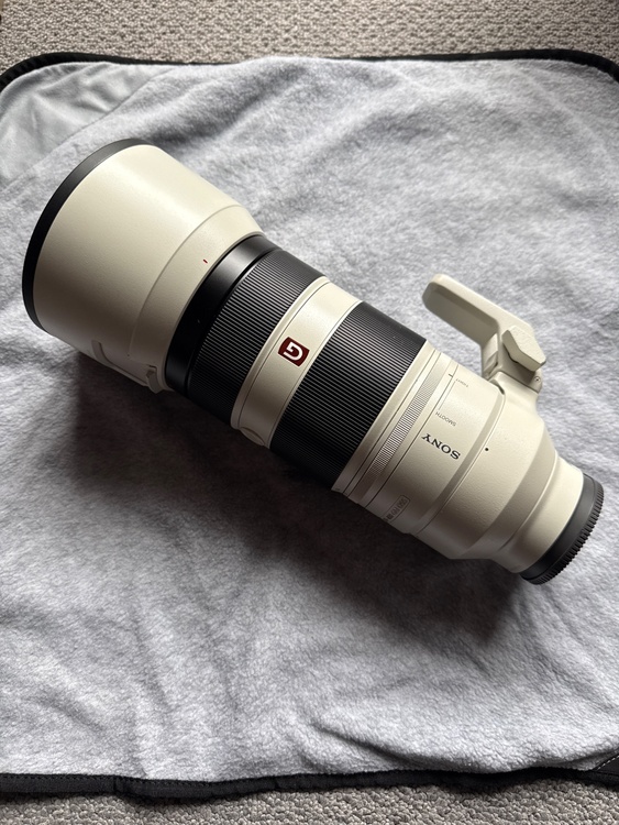 FE4.5-5.6/100-400 GM OSS（カメラ）の商品画像 - 査定依頼日：2026年4月10日 - 最高査定価格：150,000円